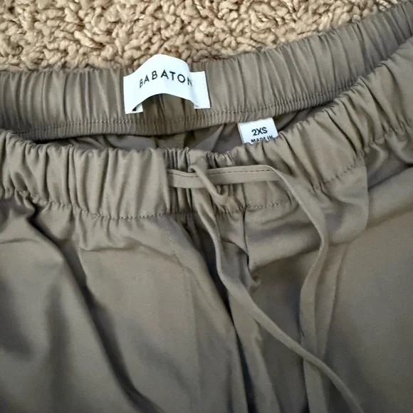 Babaton Cargo Pants - Picture 2 of 4